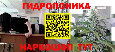 мяу мяу мука Будённовск