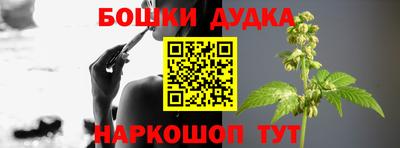 крисы Бузулук