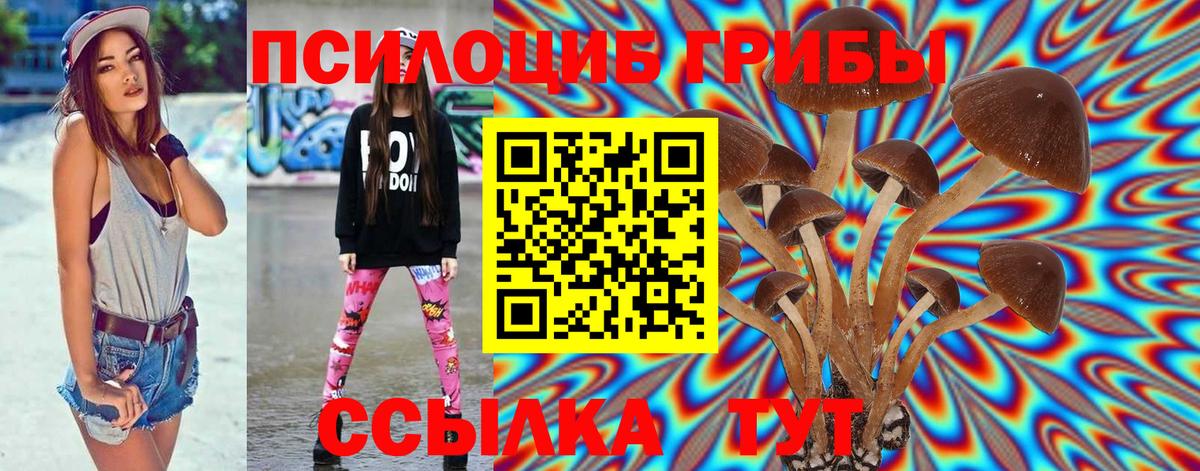 Галлюциногенные грибы Magic Shrooms Нурлат