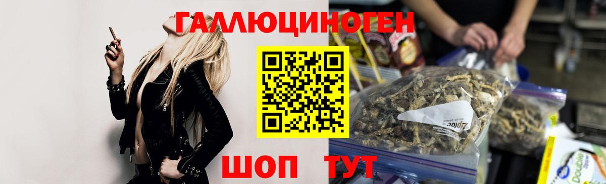 Нурлат  Псилоцибиновые грибы Psilocybine cubensis  Вход с VPN 